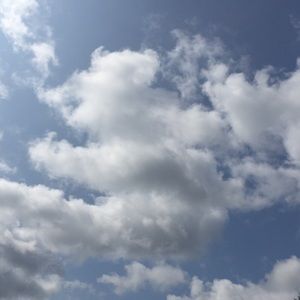 Meet your Posher, Abbie